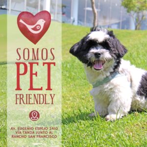 MARCA - SOMOS PET FRIENDLY