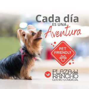 PET FRIENDLY